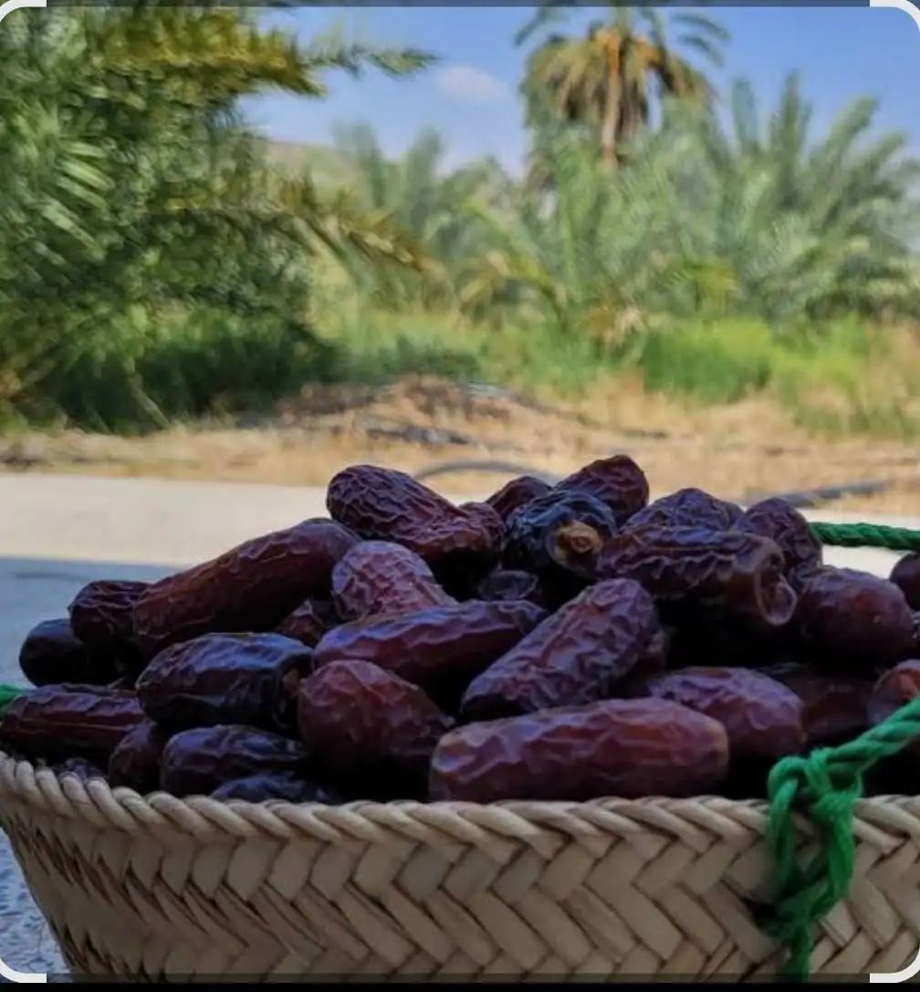 خرمای پیارم یکی از لوکس‌ترین و ارزشمندترین خرماهای ایران است که به دلیل ظاهر کشیده، بافت نیمه‌خشک، طعم شیرین طبیعی و ماندگاری بالا، انتخاب اول خریداران عمده و صادرکنندگان محسوب می‌شود. این خرما برای صادرات، بسته‌بندی لوکس و عرضه در بازارهای داخلی و خارجی تقاضای بسیار بالایی دارد.