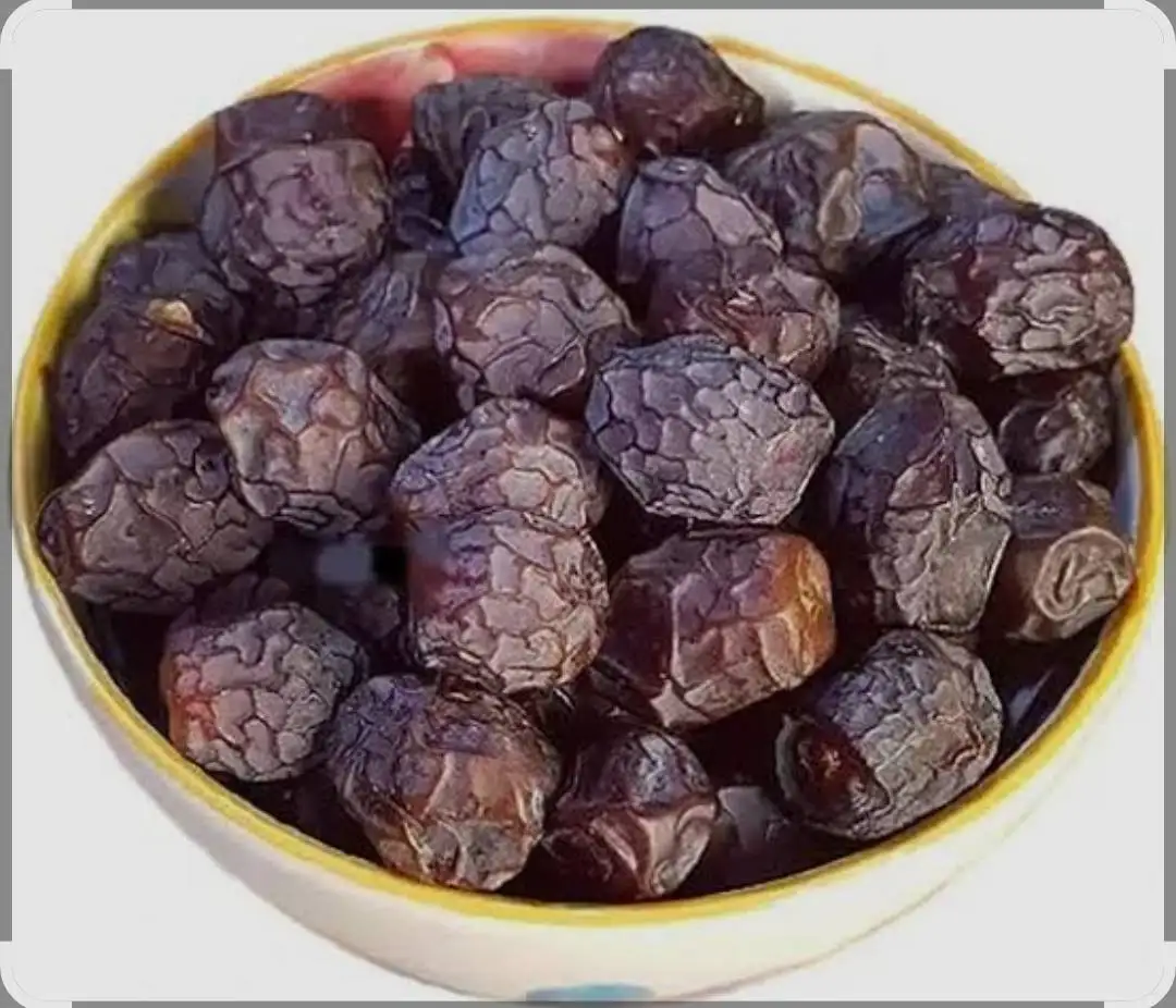 خرمای آلویی یکی از خوش‌طعم‌ترین و نرم‌ترین خرماهای جنوب ایران است که به دلیل ظاهر شبیه آلو، بافت گوشتی، طعم ملایم و شیرینی متعادل، محبوبیت زیادی دارد. این خرما برای خرید عمده، بسته‌بندی اقتصادی، تولید دسر و عرضه در بازارهای داخلی و صادراتی گزینه‌ای عالی است.